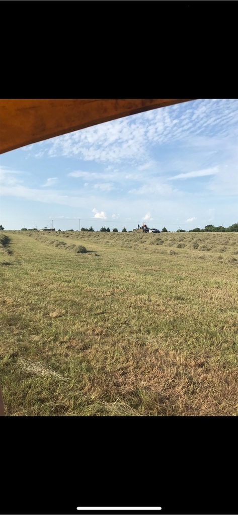 prairie hay